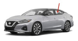 OEM Driver Left Side Rear Door Window Door Glass Compatible with Nissan Maxima 2016-2018 Models